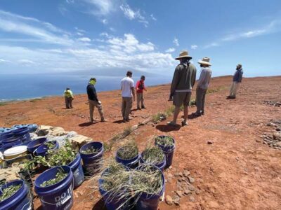 18-month Kahoolawe restoration project is almost complete